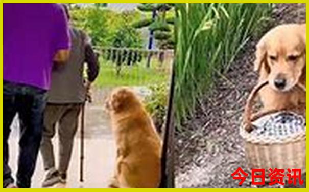 深圳夏天适合带孩子去玩的地方